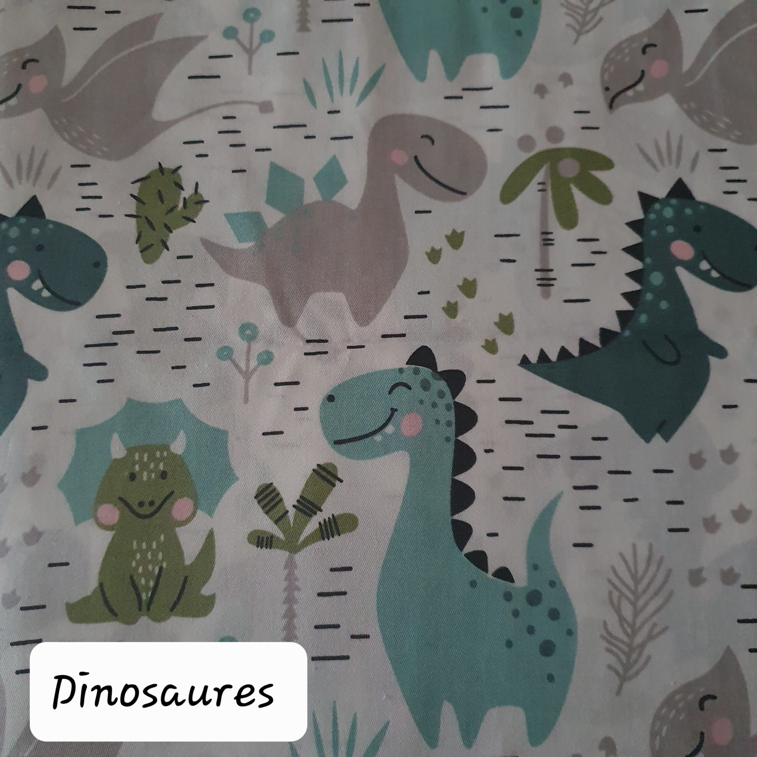Dinosaures Dinosaures