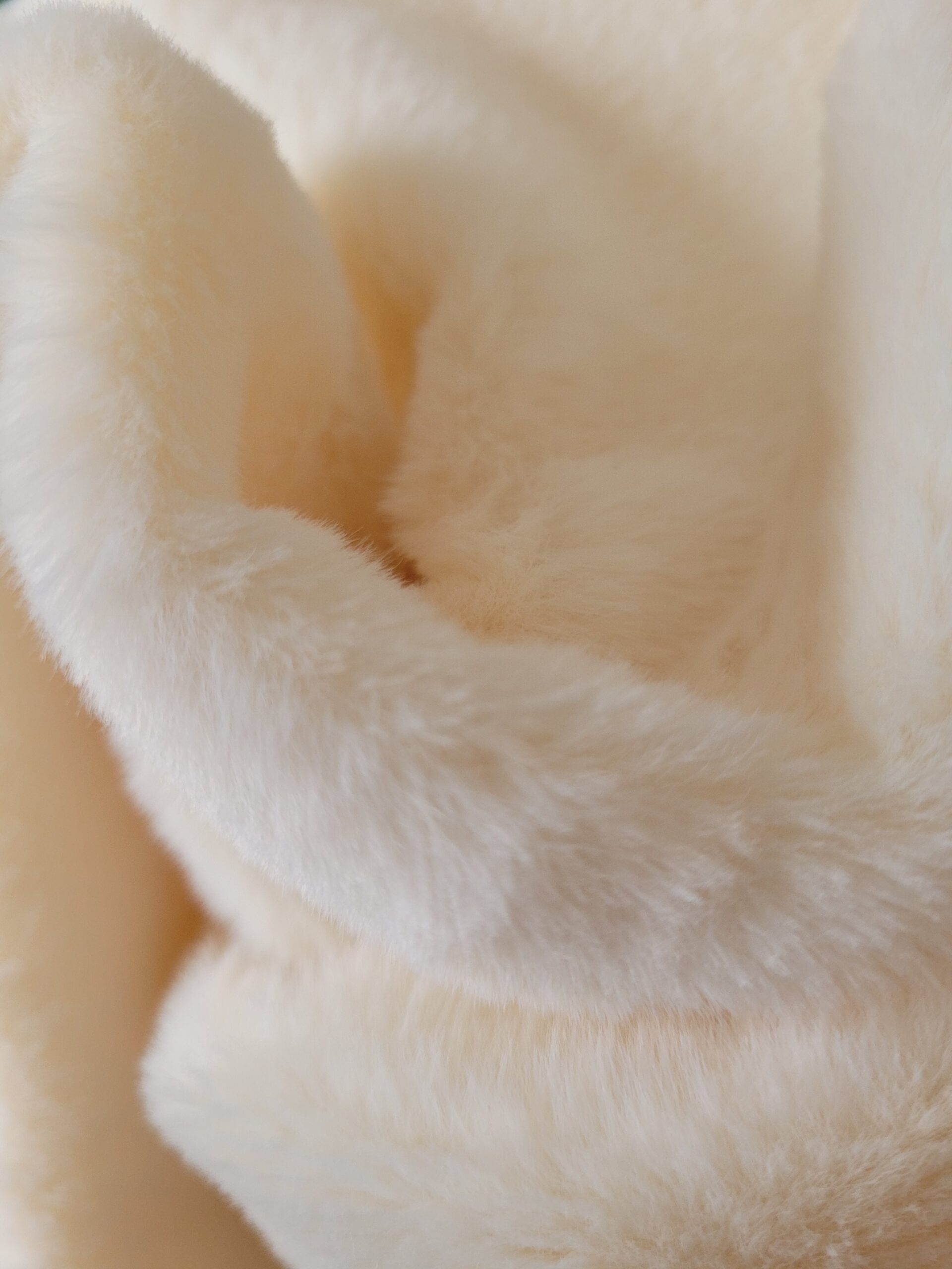 fourrure écrue fourrure écrue