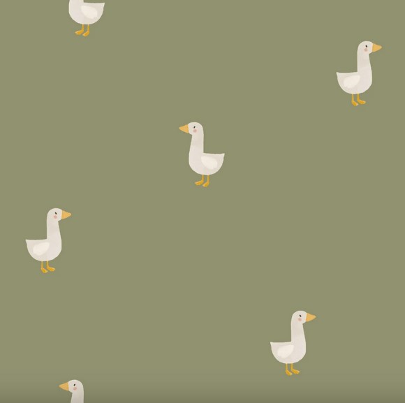 imperméable oie imperméable oie