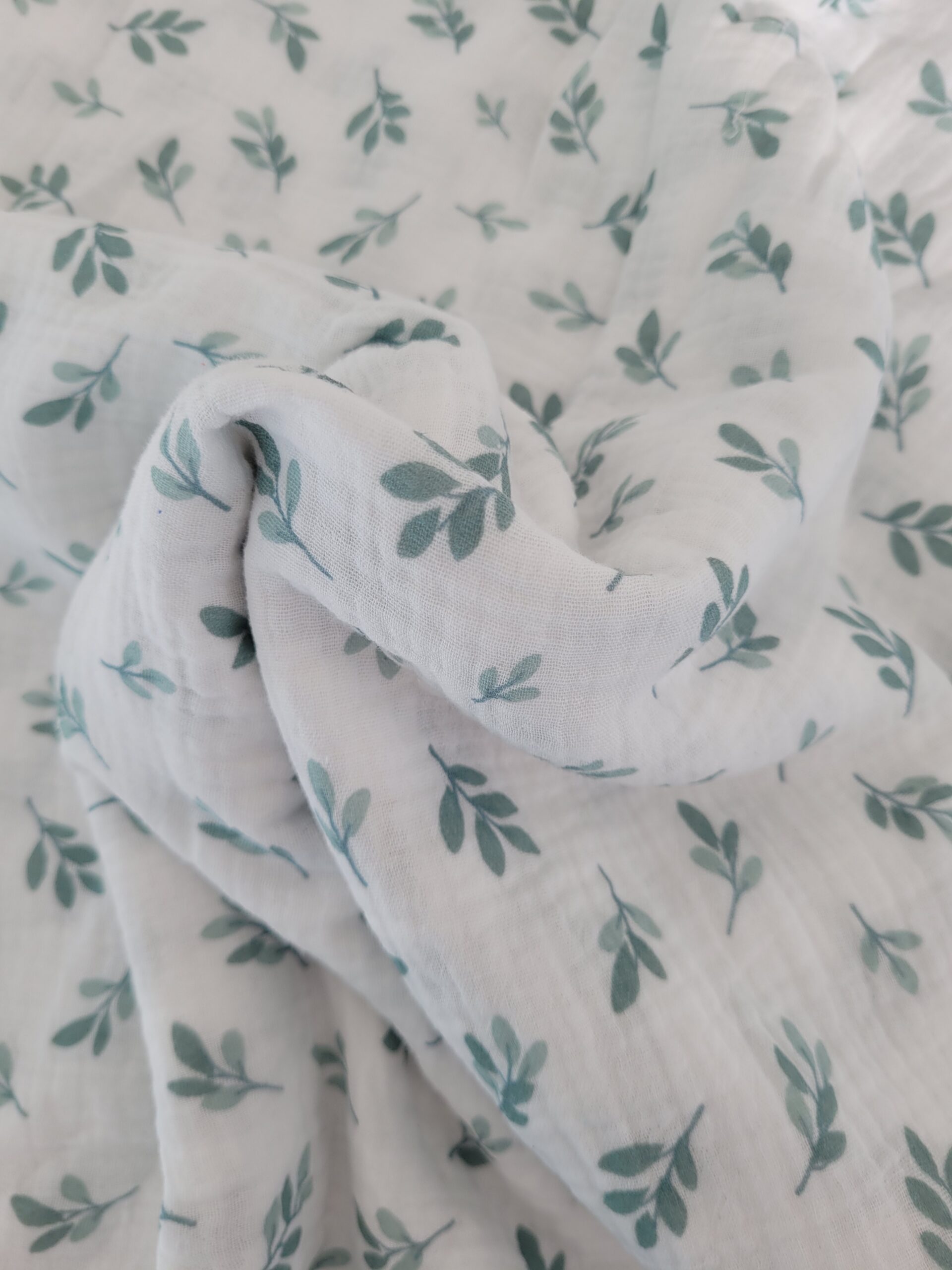 double gaze feuilles oliviers double gaze feuilles oliviers