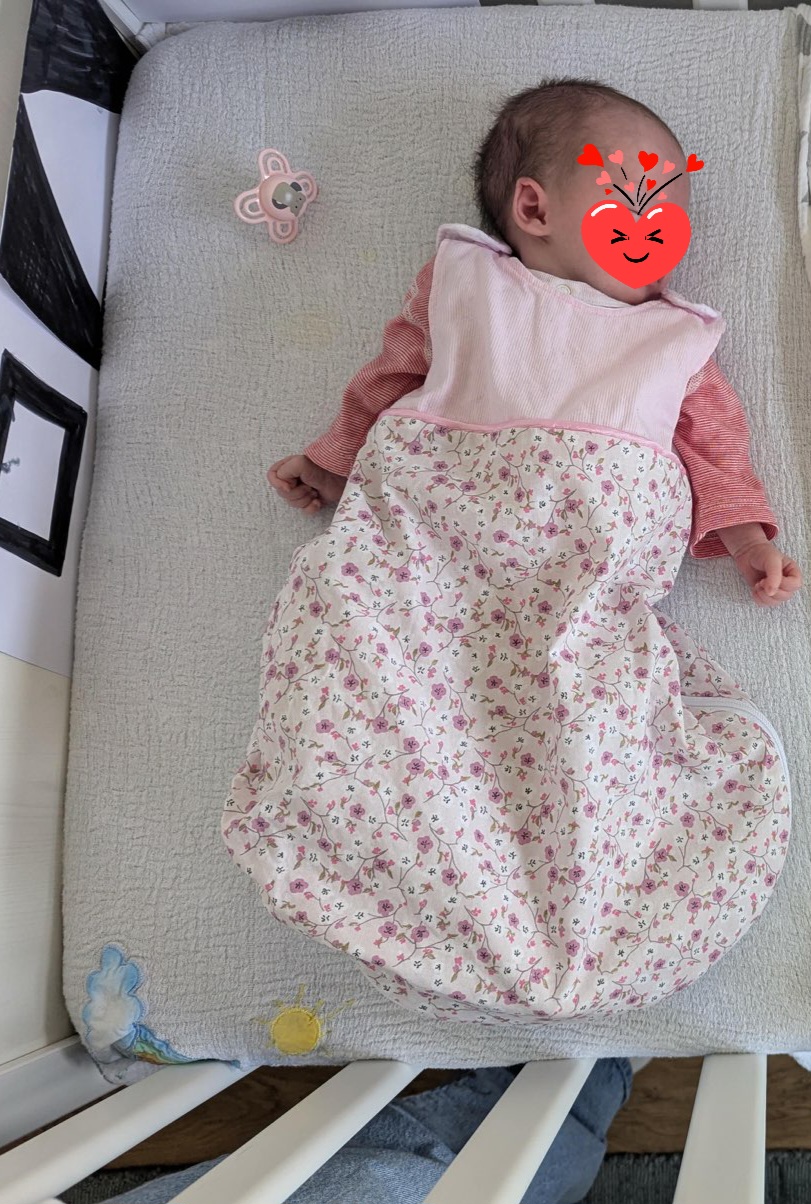 Iris Iris